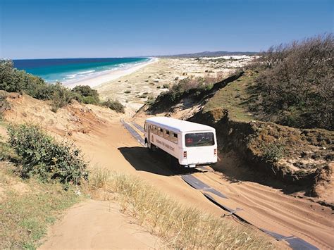 Cape Moreton Tours | Tangalooma & Moreton Island Activities