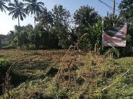 Agricultural Land Acre For Sale In Puthunagaram Palakkad Rei