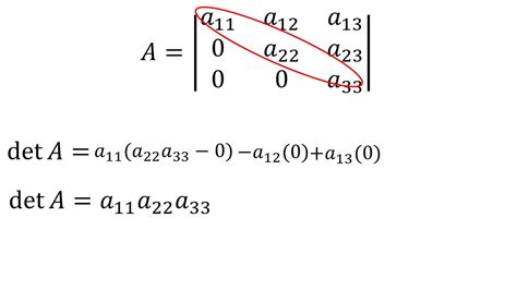 Determinante De Una Matriz Triangular Álgebra Lineal Youtube