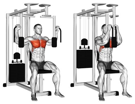 Top 6 des exercices de pectoraux à la machine et leurs avantages