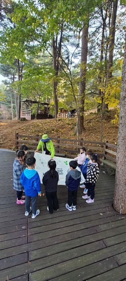 “포천 하늘아래치유의숲” 재 개장으로 가을 늦단풍 만끽 중 뉴스아이신문