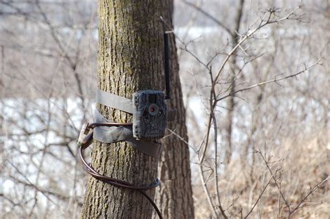 Trail Camera Minnesota Dakota County Fort Snelling Stat Flickr