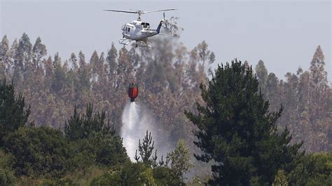 Más De 400 Incendios Forestales Se Han Registrado En El Biobío En Lo