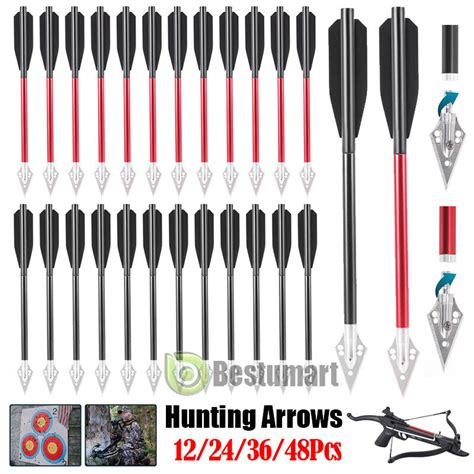 6 7 ARCHERY HUNTING MINI 50 LB BALLESTA DE CAZA CON 12 24 36 48