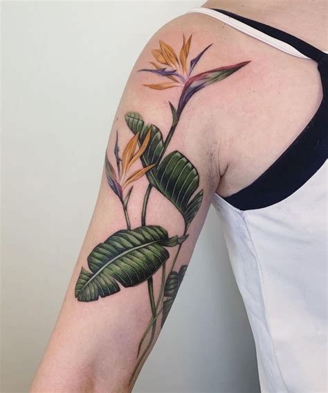 30 Great Bird Of Paradise Tattoos You Cant Miss Xuzinuo