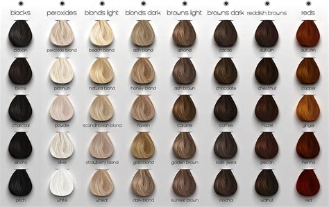 Ash Brown Hair Color Chart Loreal