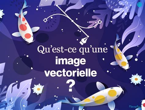 Quest Ce Quune Image Vectorielle Image Vectorisée Et Image Matricielle