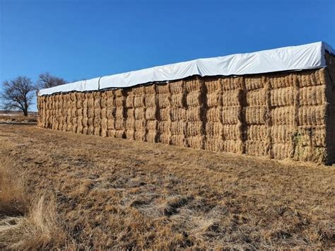 Tons Nd Cutting Alfalfa Montana