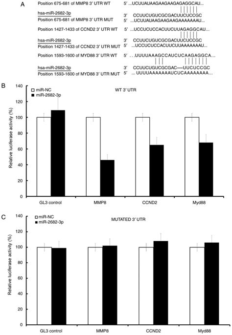 Microrna P Inhibits Osteosarcoma Cell Proliferation By Targeting