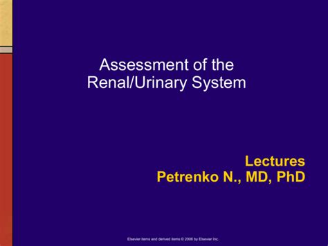 08 Assessment Of Urinary System