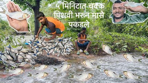 फक्त ५ मिनिट मध्ये भेटले चक्क पिशवी भरून मासे 😳 सगळीकडे मासेच मासे🐠🎣