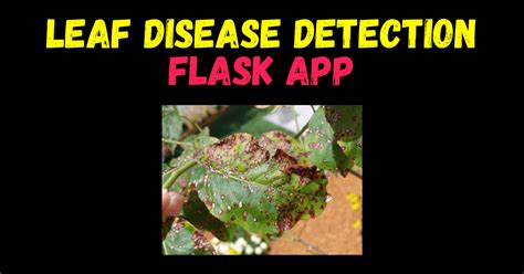 Leaf Disease Detection Flask App With Source Code 2025 Machine