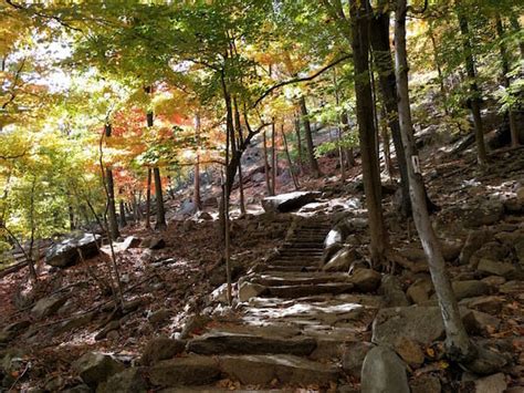 16 of the Best Connecticut Hiking Trails Near Greenwich [+Checklist]