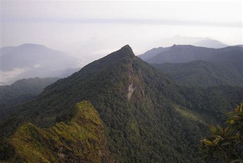 Gunung Tertinggi Di Kalimantan Siap Tantang Adrenalin Anda Untuk