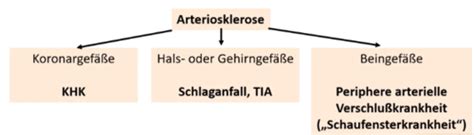 CE 05 A4 Herz Erkrankungen Karteikarten Quizlet