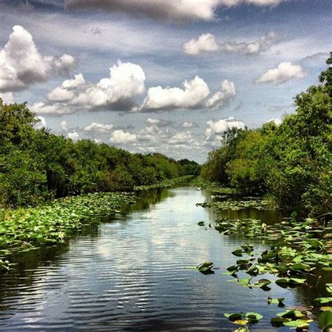 Everglades Safari Park Airboat Rides, Safari Park, Everglades, Miami Fl ...