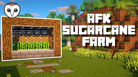 Sugar Cane Minecraft Farm