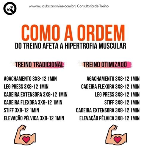 Qual A Melhor Ordem De Treino Para Crescer Personal Trainer Online