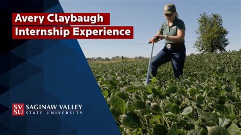 Avery Claybaugh Internship Experience YouTube