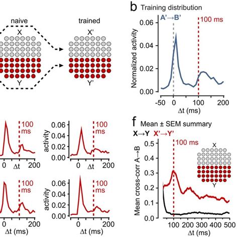 Encoding Defined Spatio Temporal Intervals In The Firing Relationships