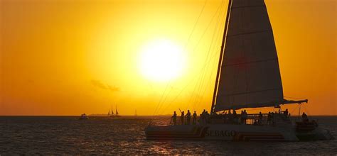 Reef Snorkel and Sunset Cruise Combo | Key West Snorkel