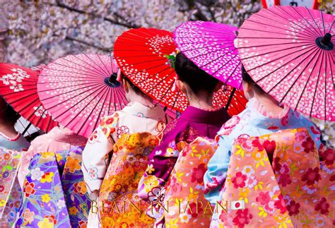 Cross Country Cherry Blossom Photo Tours Kawazu Sakura Blain