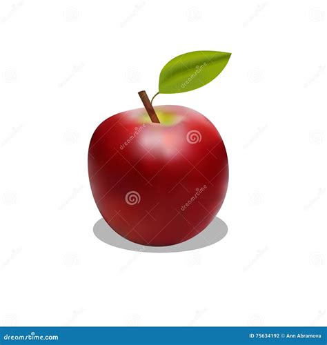 The Attractive Red Apple With Shadow Stock Vector Illustration Of