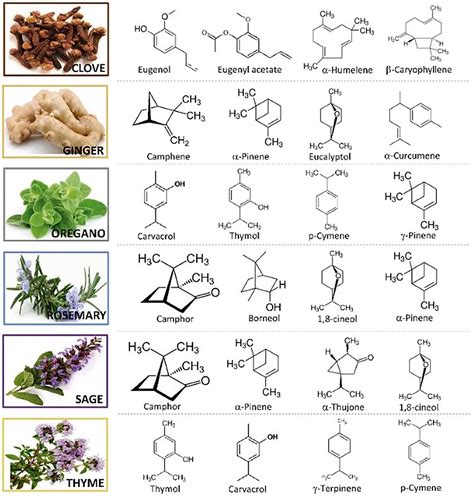 Frontiers Biocontrol Potential Of Essential Oils In Organic