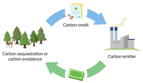 Step By Step Guide To Understanding How Carbon Credits Work