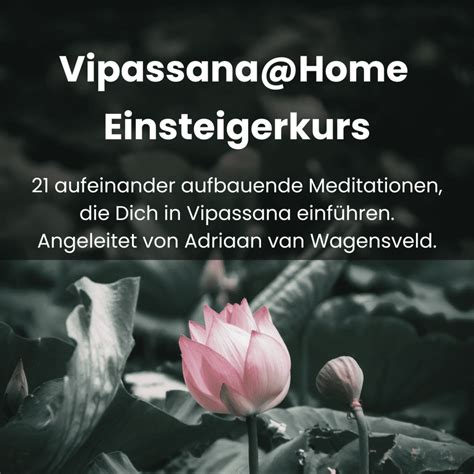 In 21 Tagen Meditation Lernen Mit Dem Vipassana Einsteigerkurs