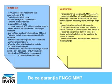 Ppt Fondul Na Ional De Garantare A Creditelor Pentru Imm Powerpoint