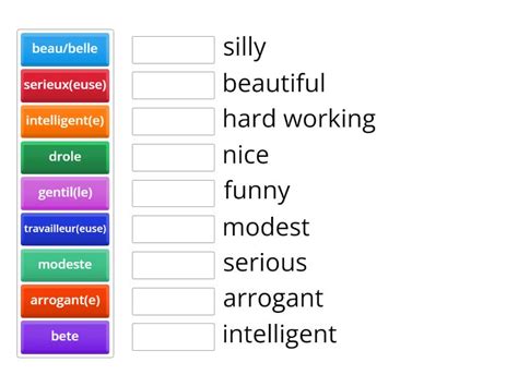 Les Adjectifs Match Up