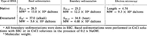 Dna Molecular Weight Calculator Blog Dandk