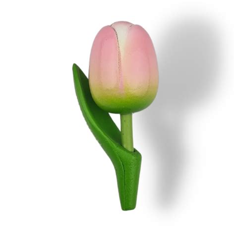 Tulip Magnets 7 Colors In Stock With Text Holland