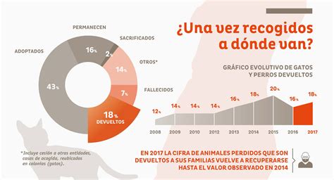 Más De 138000 Perros Y Gatos Fueron Abandonados En 2017 Miwuki