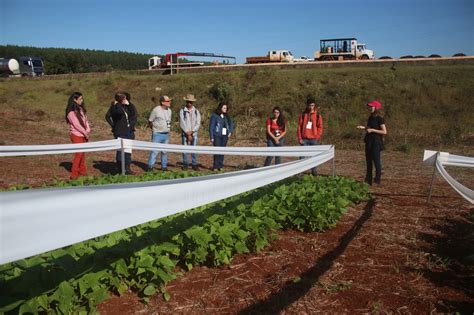 Unioeste Curso De Engenharia Agr Cola Realiza I Dia De Campo Unioeste