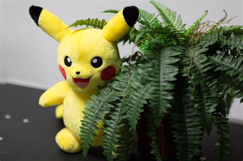 Pikachu Build-A-Bear now releasing this month, pre-orders open