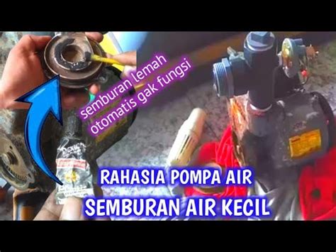 Setelah Tau Manfaatnya Banyak Orang Berburu Lem Ini YouTube