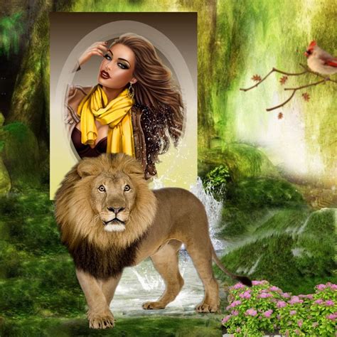 It Smichelle S Wildlife Frames Lion Nature Wildlife Scenery