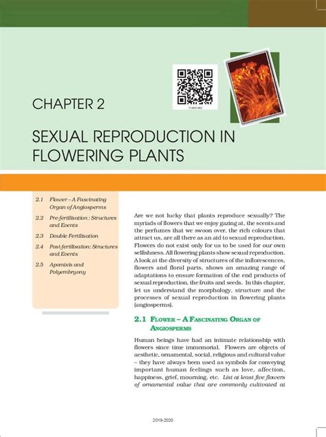 Up Board Book Class 12 Biology Chapter 2 Sexual Reproduction In