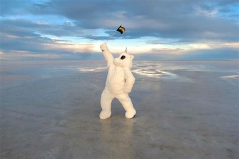 Um urso polar está parado em um lago congelado uma bandeira na boca