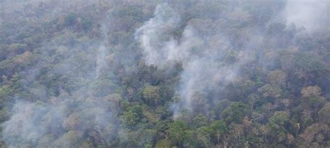 Cuantifican Casi 3 Millones De Hectáreas Afectadas Por Los Incendios