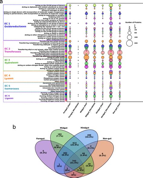 A Abundance And Distribution Of Proteins Classified According To The