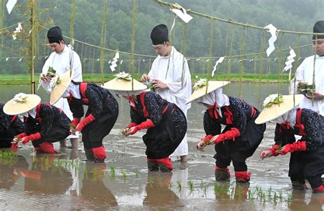 早乙女姿で豊作祈る 美瑛で御田植祭 「責任感じる」：北海道新聞デジタル