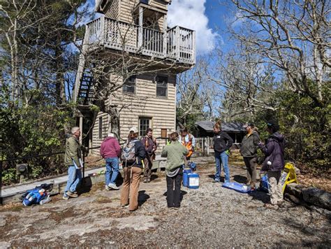 Hri Newsletter Summer 2024 Hemlock Restoration Initiative