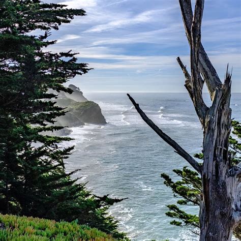 In 1969 The Moss Beach Tide Pool Area Now Known As Fitzgerald Marine