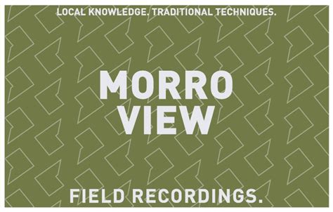 Field Recordings Morro View Gruner Veltliner 2021 Wine