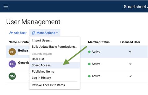 Sheet Access Report In User Management Does Not Include Unlicensed