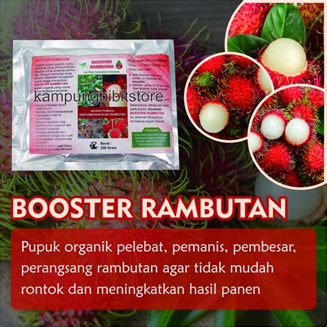 Jual Pupuk Booster Pohon Rambutan Booster Rambutan Agar Berbuah Lebat