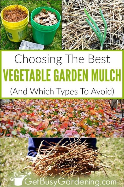 Choosing The Best Mulch For Vegetable Gardens Mulch For Vegetable